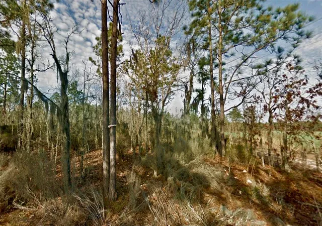 Photo 4 of Land for sale at 000 66th Place NE, Bronson, FL 32621 | MLS# O6387660 | Listing updated on 2026-10-18