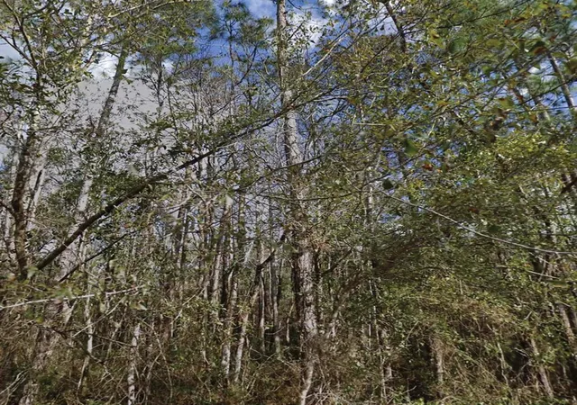 Photo 1 of Land for sale at Se 3rd Street, Palatka, FL 32177 | MLS# O6388954 | Listing updated on 2026-09-16