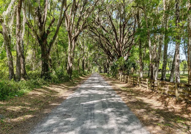 Photo 1 of Land for sale at 6405 Nw 165th Street, Reddick, FL 32686 | MLS# OM722173 | Listing updated on 2026-09-16