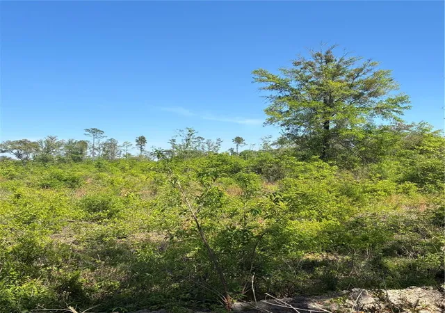 Photo 3 of Land for sale at 298th Street, Newberry, FL 32669 | MLS# GC539732 | Listing updated on 2026-09-16