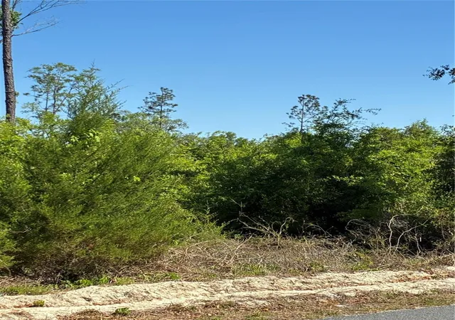 Photo 3 of Land for sale at 298th Street, Newberry, FL 32669 | MLS# GC539732 | Listing updated on 2026-09-16