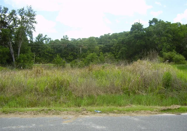 Photo 3 of Land for sale at 1409 Teal Dr, Kissimmee, FL 34759 | MLS# R4911136 | Listing updated on 2026-09-09