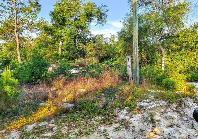 Photo 4 of Land for sale at Jewell Dr, Deland, FL 32720 | MLS# O6406316 | Listing updated on 2026-09-16