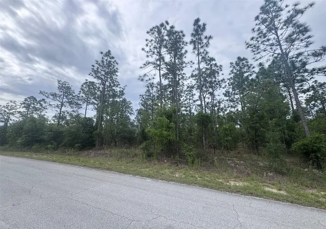 Photo 3 of Land for sale at 0 SW Egdewater Blvd, Dunnellon, FL 34431 | MLS# OM726290 | Listing updated on 2026-09-18