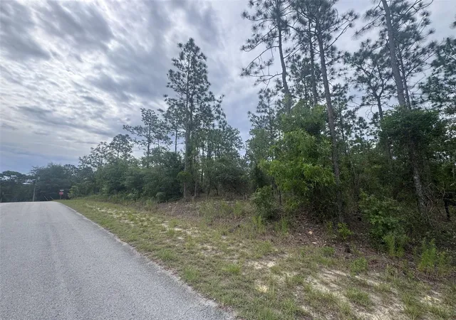 Photo 4 of Land for sale at 0 SW Egdewater Blvd, Dunnellon, FL 34431 | MLS# OM726290 | Listing updated on 2026-09-18