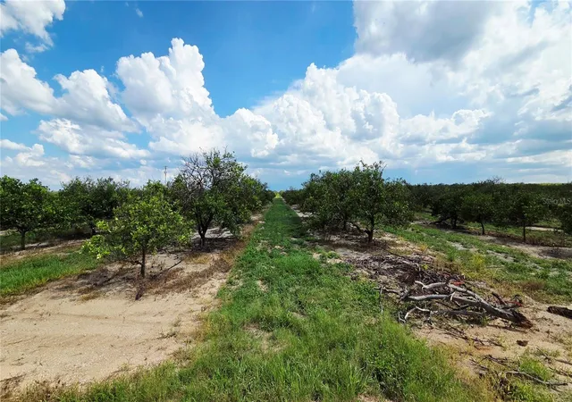 Photo 3 of Land for sale at 0 Seminole Rd, Babson Park, FL 33827 | MLS# OM727326 | Listing updated on 2026-09-22