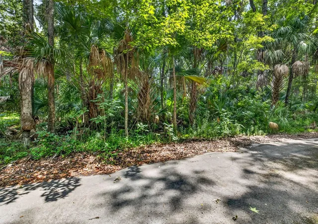 Photo 3 of Land for sale at 9647 W Fern Crk Ter, Homosassa, FL 34448 | MLS# OM727353 | Listing updated on 2026-09-18