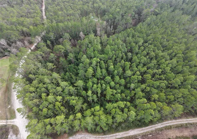 Photo 1 of Land for sale at NE 130 Court Rd, Fort Mc Coy, FL 32134 | MLS# GC541995 | Listing updated on 2026-09-16