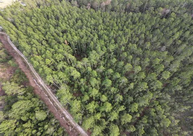 Photo 2 of Land for sale at NE 130 Court Rd, Fort Mc Coy, FL 32134 | MLS# GC541995 | Listing updated on 2026-09-16