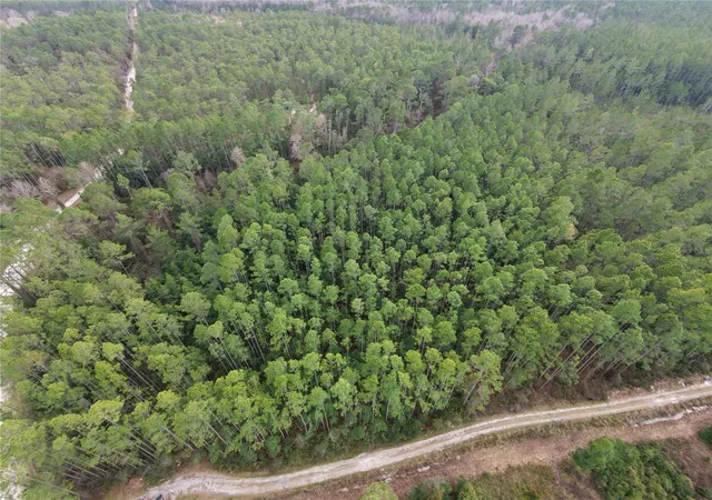 Photo 3 of Land for sale at NE 130 Court Rd, Fort Mc Coy, FL 32134 | MLS# GC541995 | Listing updated on 2026-09-16