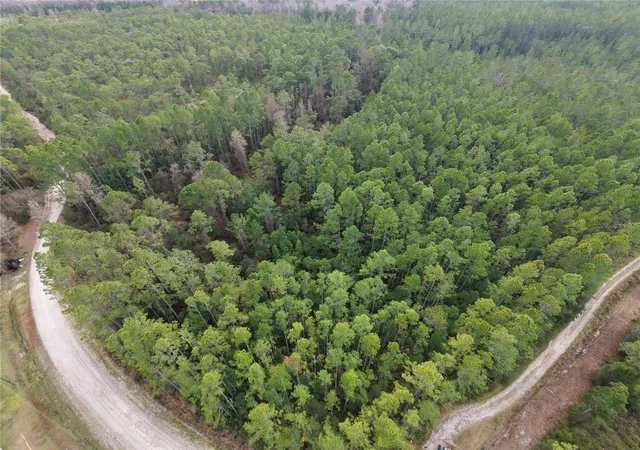 Photo 4 of Land for sale at NE 130 Court Rd, Fort Mc Coy, FL 32134 | MLS# GC541995 | Listing updated on 2026-09-16
