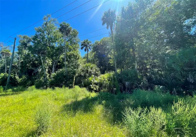 Photo 2 of Land for sale at Old Mission Rd, New Smyrna Beach, FL 32168 | MLS# NS1088800 | Listing updated on 2026-09-13