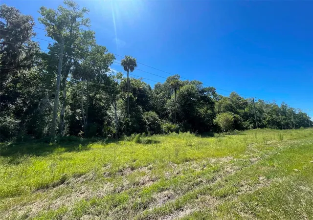 Photo 3 of Land for sale at Old Mission Rd, New Smyrna Beach, FL 32168 | MLS# NS1088800 | Listing updated on 2026-09-13