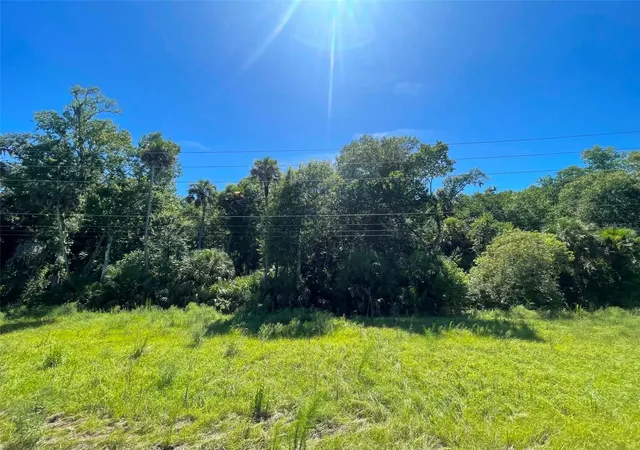 Photo 3 of Land for sale at Old Mission Rd, New Smyrna Beach, FL 32168 | MLS# NS1088800 | Listing updated on 2026-09-13