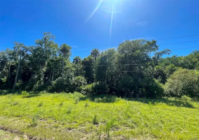 Photo 4 of Land for sale at Old Mission Rd, New Smyrna Beach, FL 32168 | MLS# NS1088800 | Listing updated on 2026-09-13