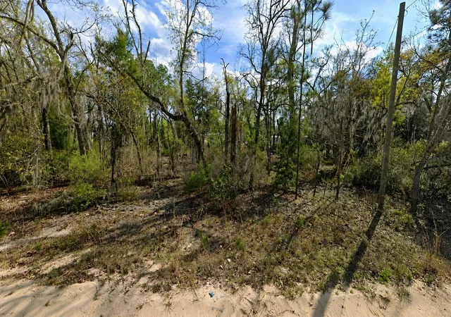 Photo 1 of Land for sale at Claudia St, Interlachen, FL 32148 | MLS# O6427703 | Listing updated on 2026-10-14