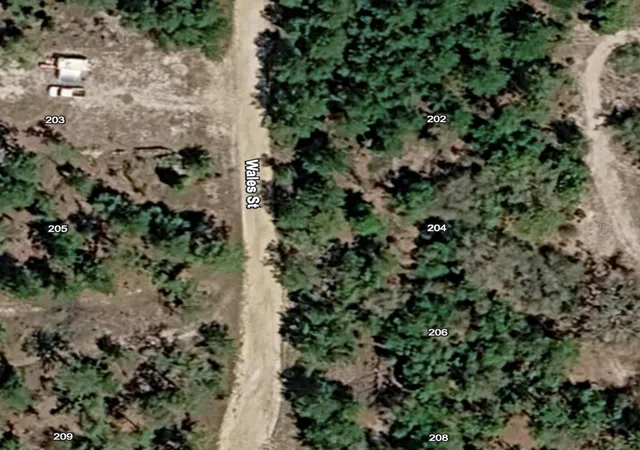 Photo 2 of Land for sale at 204 Wales St, Interlachen, FL 32148 | MLS# O6427716 | Listing updated on 2026-10-14