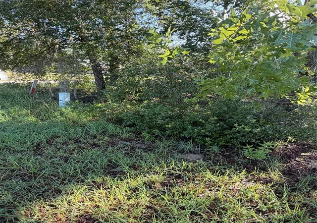 Photo 3 of Land for sale at Alaska Ave, Interlachen, FL 32148 | MLS# O6428781 | Listing updated on 2026-09-30