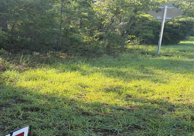 Photo 3 of Land for sale at Alaska Ave, Interlachen, FL 32148 | MLS# O6428781 | Listing updated on 2026-09-30