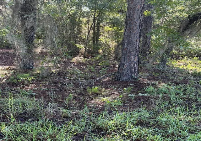 Photo 4 of Land for sale at Alaska Ave, Interlachen, FL 32148 | MLS# O6428781 | Listing updated on 2026-09-30