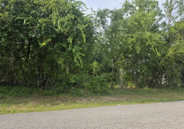 Photo 3 of Land for sale at 1567 E Cleveland St, Hernando, FL 34442 | MLS# TB8534091 | Listing updated on 2026-09-25