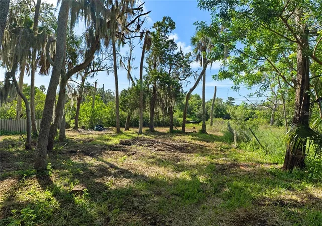 Photo 4 of Land for sale at 14512 W Black Crk Dr, Crystal River, FL 34429 | MLS# W7888459 | Listing updated on 2026-09-08