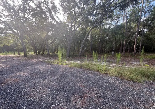 Photo 4 of Land for sale at N Preston Rd, Brooksville, FL 34601 | MLS# W7888756 | Listing updated on 2026-10-03