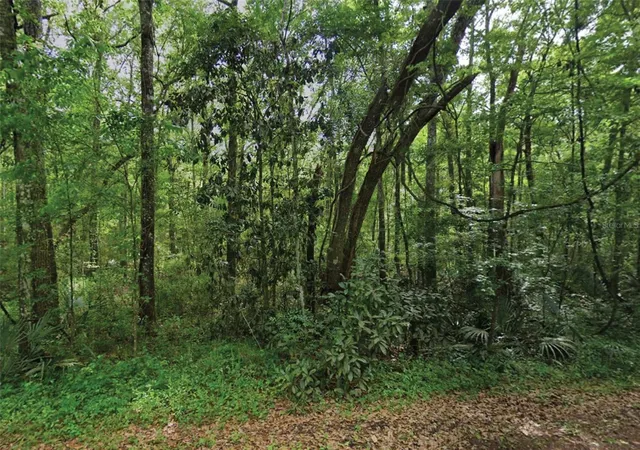 Photo 1 of Land for sale at Scenic Dr, Middleburg, FL 32068 | MLS# O6435419 | Listing updated on 2026-09-16
