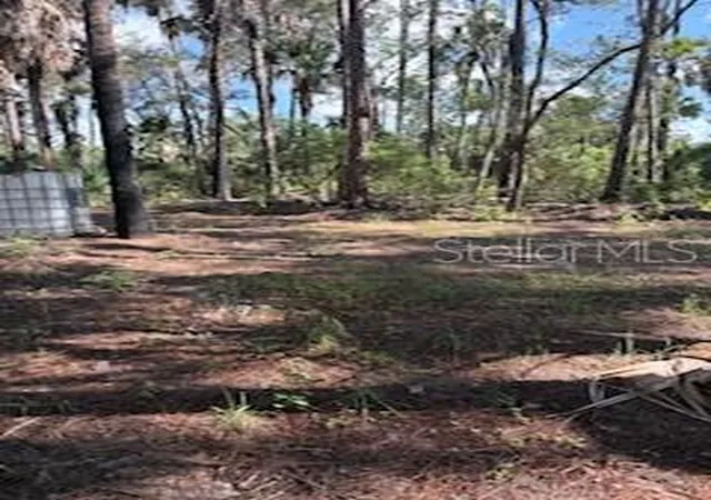 Photo 4 of Land for sale at 37610 Oaklee Rd, Umatilla, FL 32784 | MLS# G5117102 | Listing updated on 2026-09-17