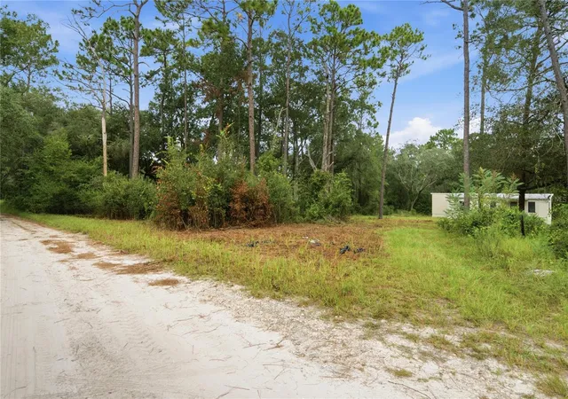 Land for sale at 8565 SW 156th Place, DUNNELLON, FL 34432 | MLS# OM731372