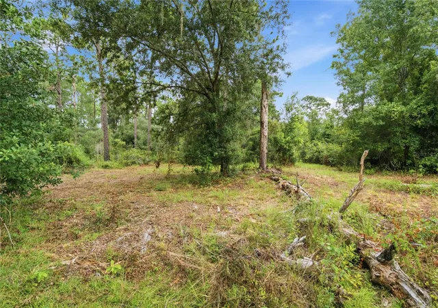 Photo 1 of Land for sale at 8565 SW 156th Place, Dunnellon, FL 34432 | MLS# OM731372 | Listing updated on 2026-09-16