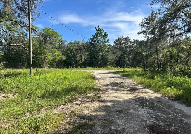 Photo 2 of Land for sale at 1631 NE 123rd Terrace, Williston, FL 32696 | MLS# OM731389 | Listing updated on 2026-09-17