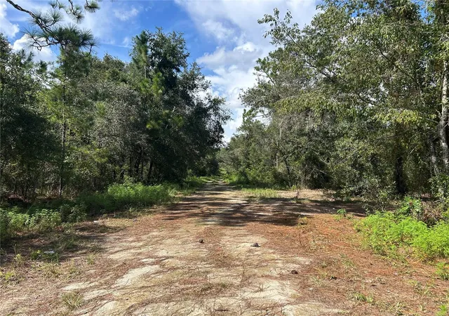 Photo 3 of Land for sale at 1631 NE 123rd Terrace, Williston, FL 32696 | MLS# OM731389 | Listing updated on 2026-09-17