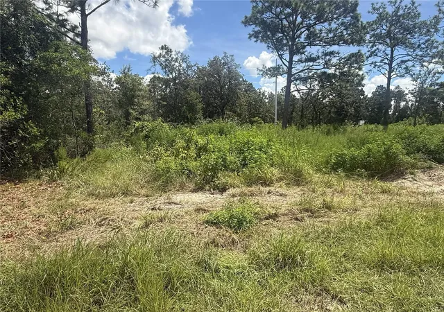 Photo 2 of Land for sale at 12220 Marvelwood Rd, Brooksville, FL 34614 | MLS# TB8544667 | Listing updated on 2026-10-06