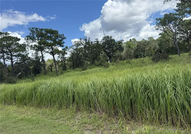 Photo 3 of Land for sale at 12220 Marvelwood Rd, Brooksville, FL 34614 | MLS# TB8544667 | Listing updated on 2026-10-06