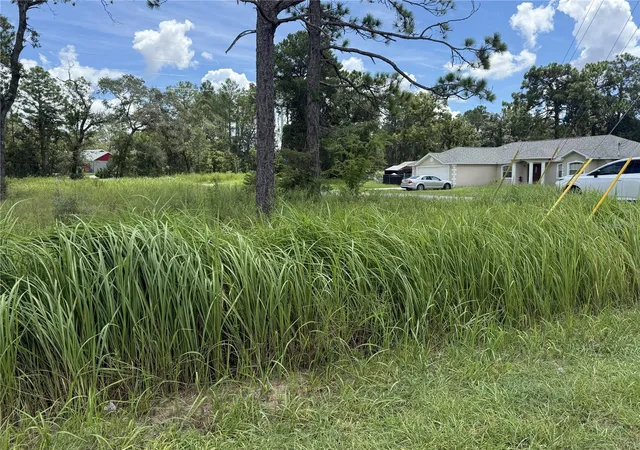 Photo 3 of Land for sale at 12220 Marvelwood Rd, Brooksville, FL 34614 | MLS# TB8544667 | Listing updated on 2026-10-06