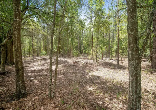 Photo 3 of Land for sale at NE Cr 337, High Springs, FL 32643 | MLS# GC543317 | Listing updated on 2026-09-10