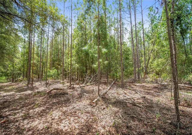Photo 4 of Land for sale at NE Cr 337, High Springs, FL 32643 | MLS# GC543317 | Listing updated on 2026-09-10