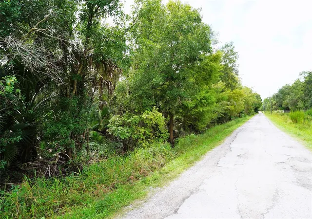 Photo 1 of Land for sale at 2047 Sw Nassau Ave, Arcadia, FL 34266 | MLS# C7530486 | Listing updated on 2026-09-09
