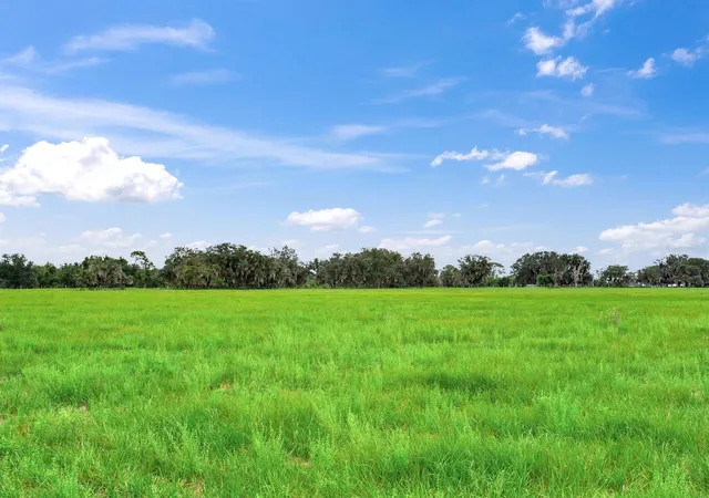 Photo 3 of Land for sale at Lake Buffum Rd N, Fort Meade, FL 33841 | MLS# TB8547131 | Listing updated on 2026-09-17