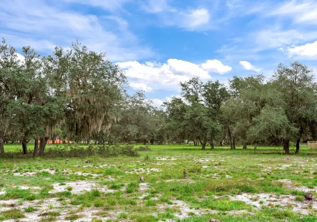 Photo 3 of Land for sale at Lake Buffum Rd N, Fort Meade, FL 33841 | MLS# TB8547131 | Listing updated on 2026-09-17