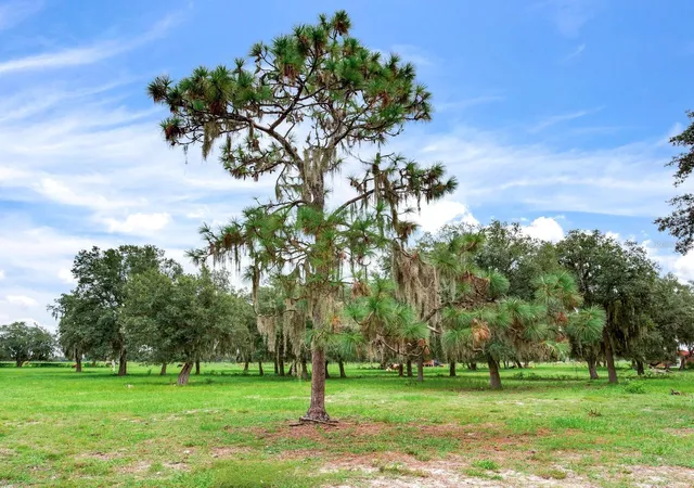 Photo 4 of Land for sale at Lake Buffum Rd N, Fort Meade, FL 33841 | MLS# TB8547131 | Listing updated on 2026-09-17