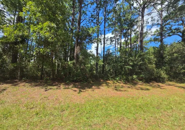 Photo 1 of Land for sale at 00 Southwest 81st Ter, Ocala, FL 34473 | MLS# OM732199 | Listing updated on 2026-10-13