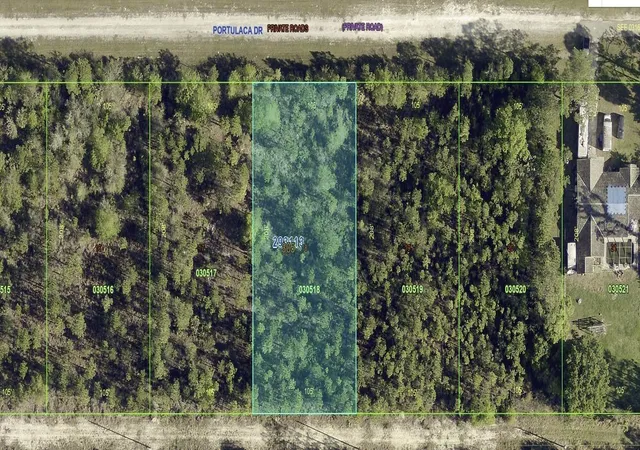 Photo 3 of Land for sale at 1013 Portulaca Dr, Indian Lake Estates, FL 33855 | MLS# P4939892 | Listing updated on 2026-09-30