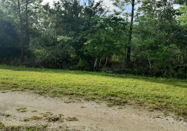 Photo 4 of Land for sale at 1013 Portulaca Dr, Indian Lake Estates, FL 33855 | MLS# P4939892 | Listing updated on 2026-09-30