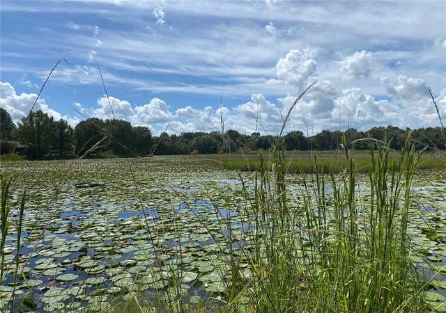 Photo 4 of Land for sale at 12 N Shadow Wood Dr, Inverness, FL 34450 | MLS# GC543530 | Listing updated on 2026-09-18