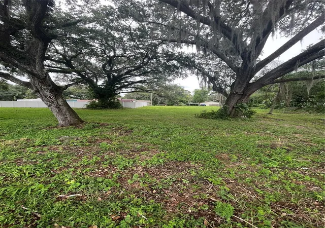 Photo 2 of Land for sale at 0 Pine St, Saint Cloud, FL 34771 | MLS# O6442201 | Listing updated on 2026-09-17