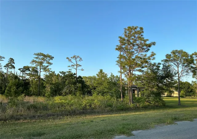 Land for sale at Reynolds Pkwy, ORLANDO, FL 32833 | MLS# OM732366