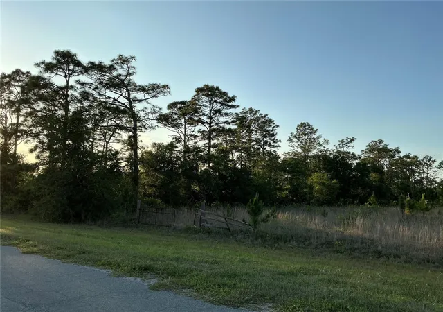 Photo 2 of Land for sale at Reynolds Pkwy, Orlando, FL 32833 | MLS# OM732366 | Listing updated on 2026-09-17