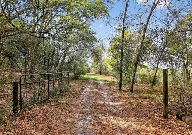 Photo 4 of Land for sale at Is Pond Ln, Eustis, FL 32736 | MLS# G5117915 | Listing updated on 2026-09-18